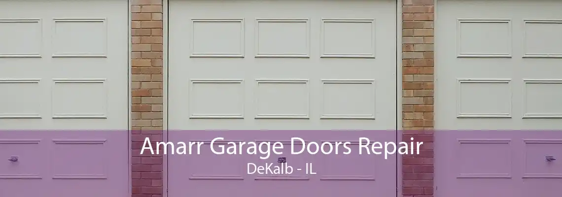 Amarr Garage Doors Repair DeKalb - IL