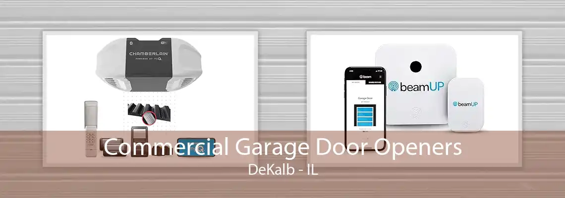 Commercial Garage Door Openers DeKalb - IL