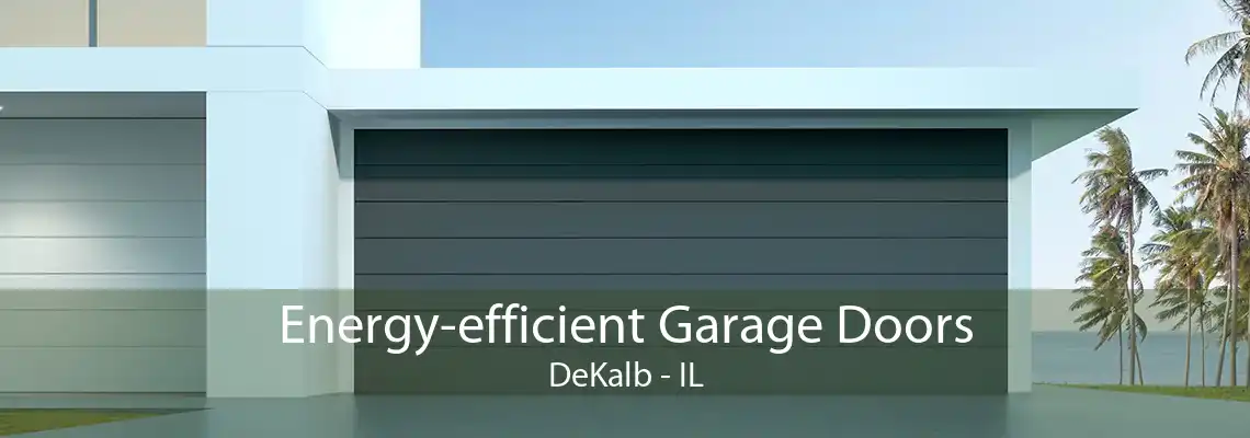 Energy-efficient Garage Doors DeKalb - IL