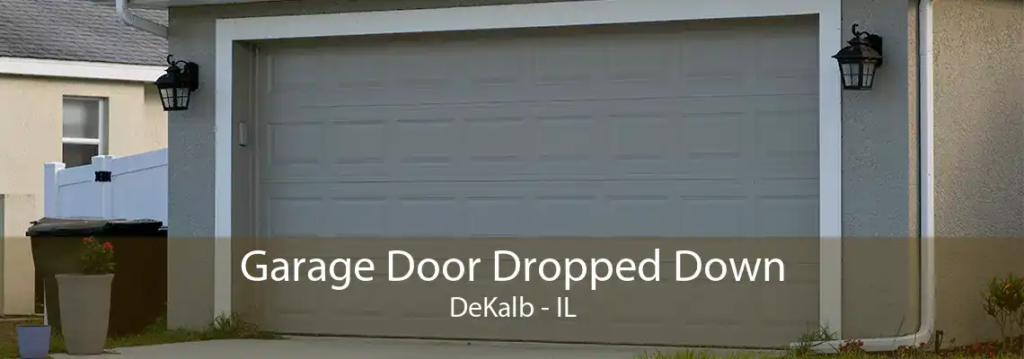 Garage Door Dropped Down DeKalb - IL