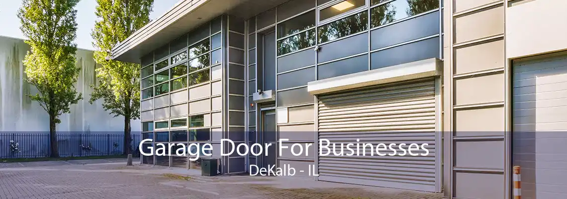 Garage Door For Businesses DeKalb - IL