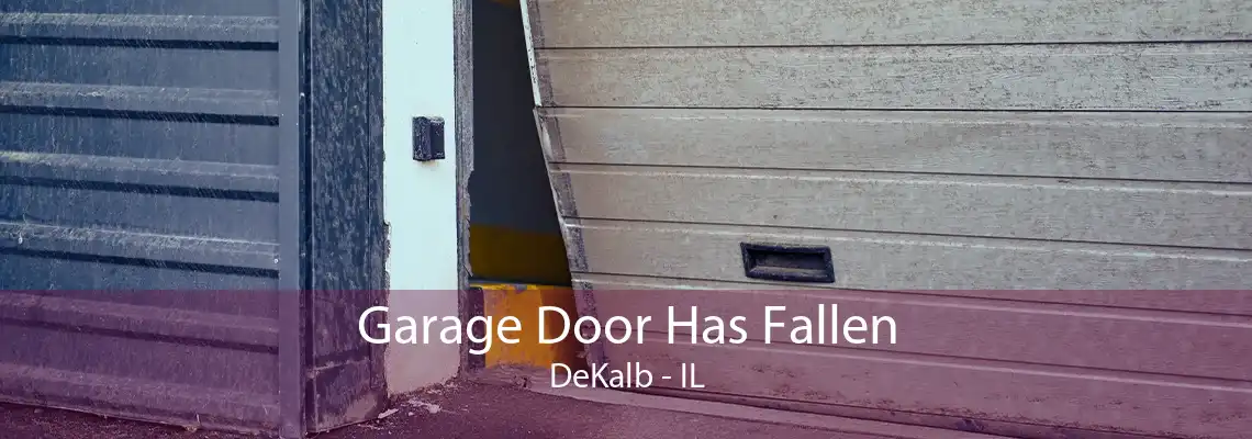 Garage Door Has Fallen DeKalb - IL