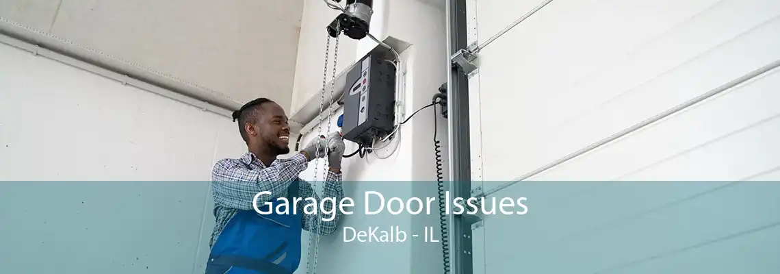 Garage Door Issues DeKalb - IL