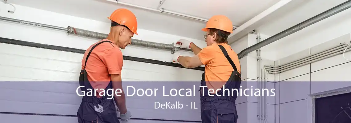 Garage Door Local Technicians DeKalb - IL