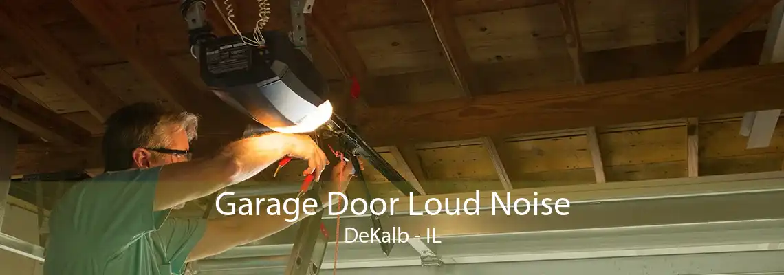 Garage Door Loud Noise DeKalb - IL