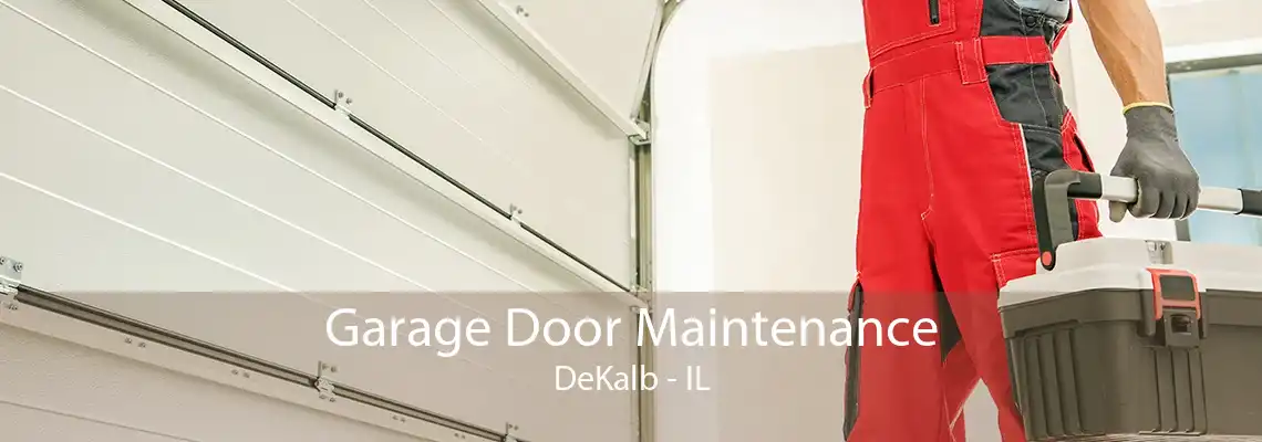 Garage Door Maintenance DeKalb - IL