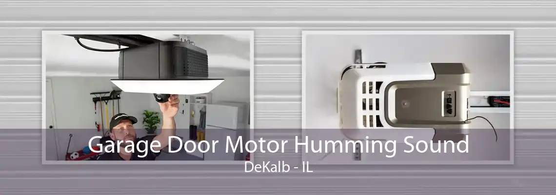 Garage Door Motor Humming Sound DeKalb - IL