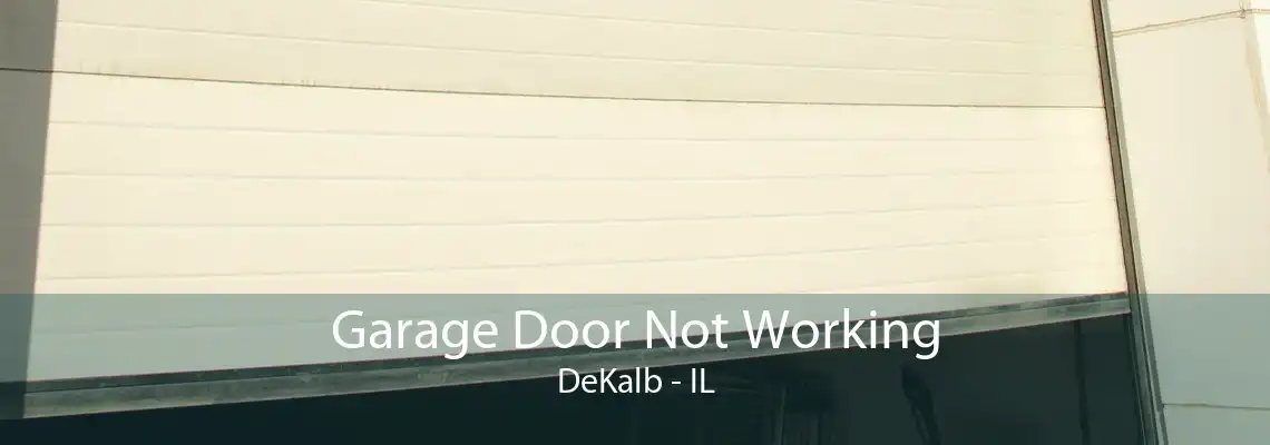 Garage Door Not Working DeKalb - IL