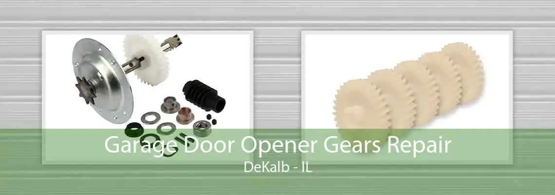 Garage Door Opener Gears Repair DeKalb - IL