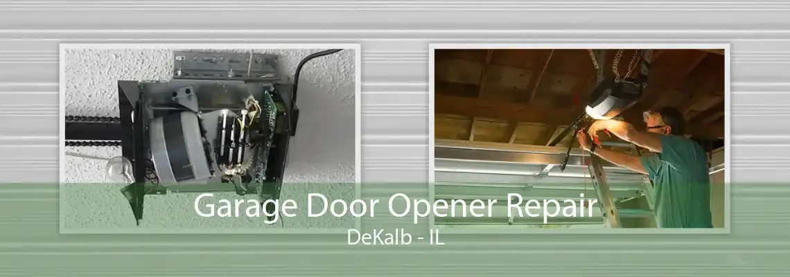 Garage Door Opener Repair DeKalb - IL