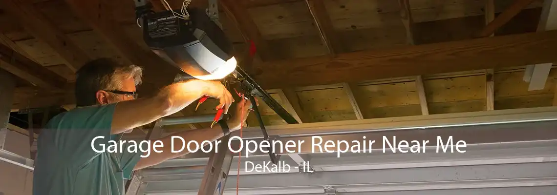 Garage Door Opener Repair Near Me DeKalb - IL