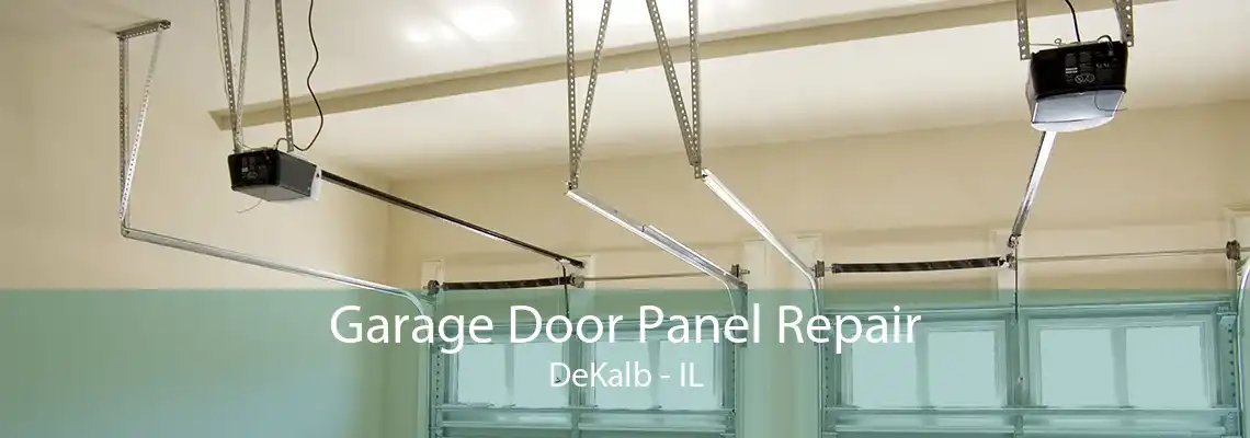 Garage Door Panel Repair DeKalb - IL