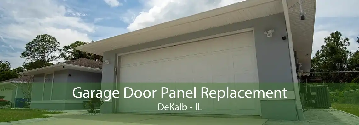 Garage Door Panel Replacement DeKalb - IL