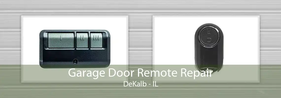 Garage Door Remote Repair DeKalb - IL