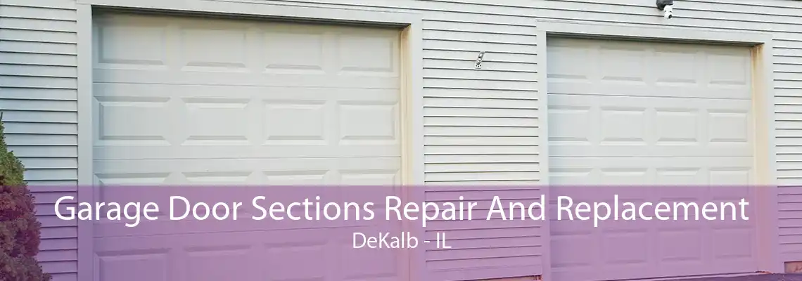 Garage Door Sections Repair And Replacement DeKalb - IL