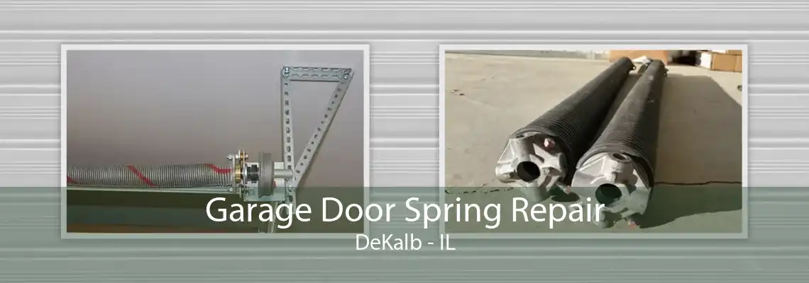 Garage Door Spring Repair DeKalb - IL