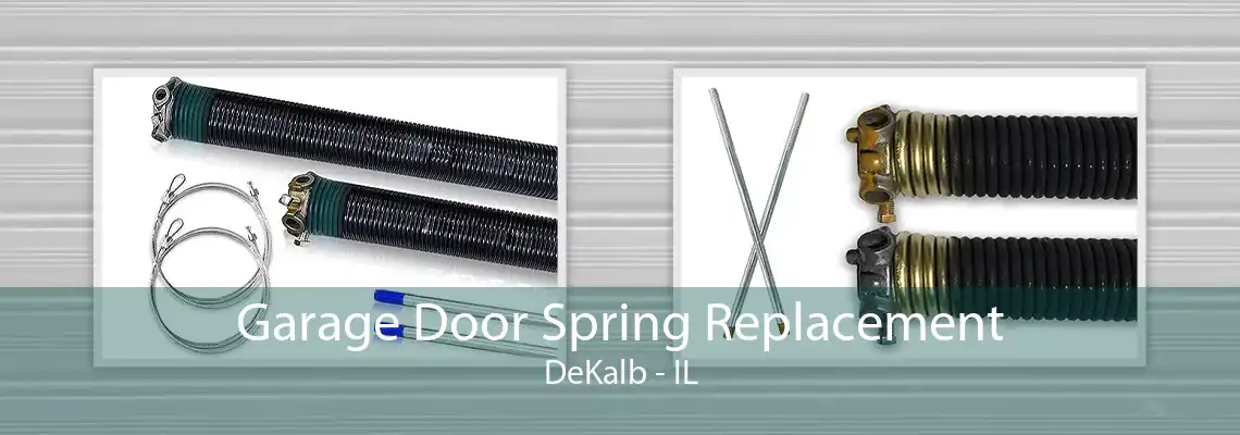 Garage Door Spring Replacement DeKalb - IL