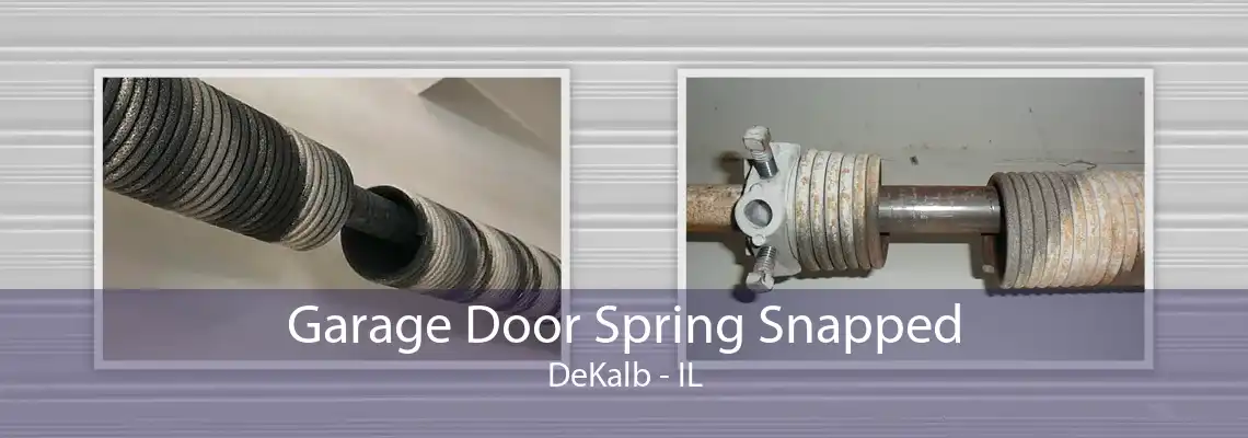 Garage Door Spring Snapped DeKalb - IL