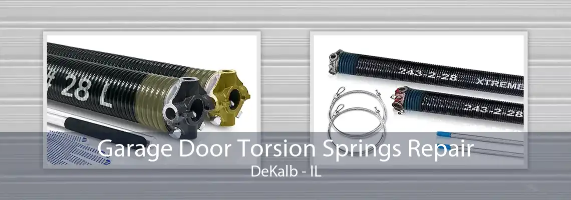 Garage Door Torsion Springs Repair DeKalb - IL