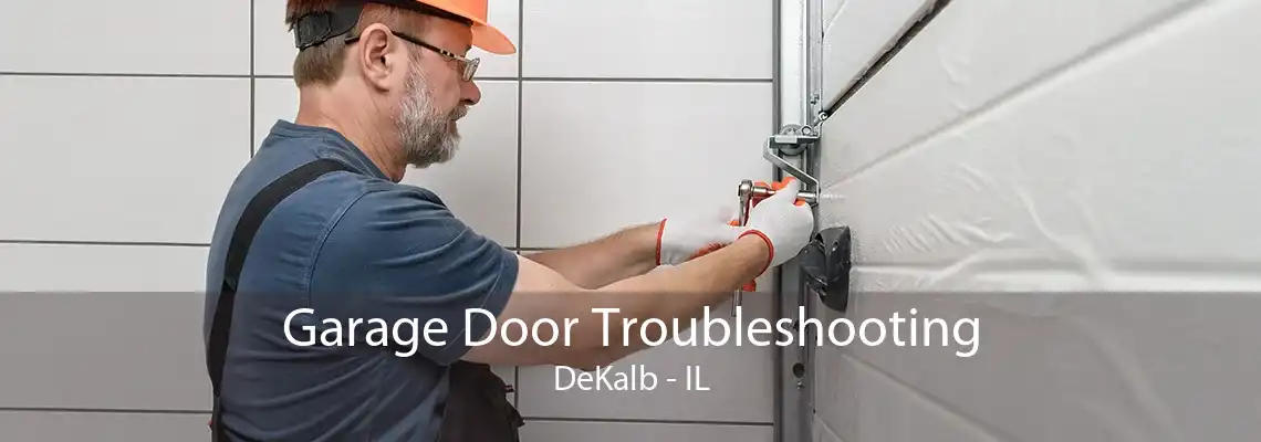 Garage Door Troubleshooting DeKalb - IL