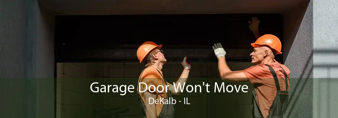 Garage Door Won't Move DeKalb - IL