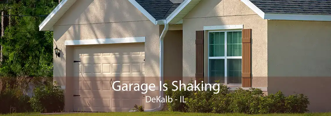 Garage Is Shaking DeKalb - IL