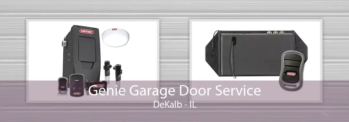 Genie Garage Door Service DeKalb - IL