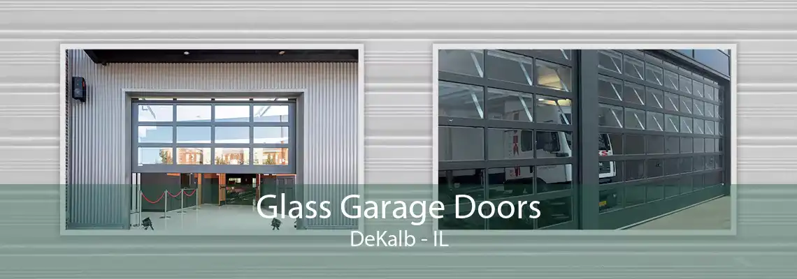 Glass Garage Doors DeKalb - IL