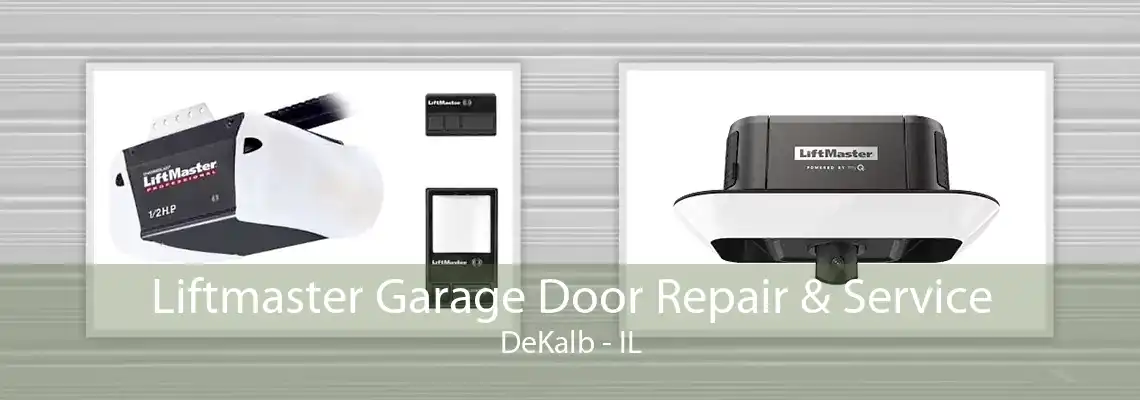 Liftmaster Garage Door Repair & Service DeKalb - IL