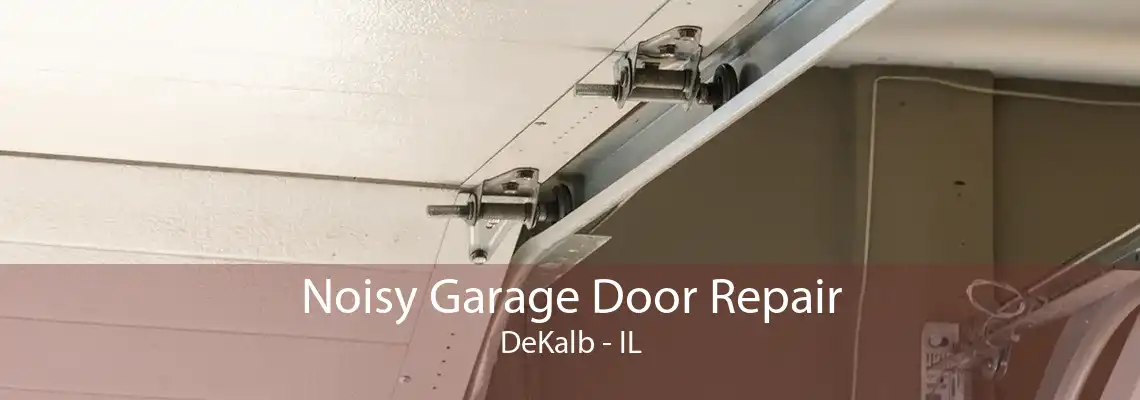 Noisy Garage Door Repair DeKalb - IL