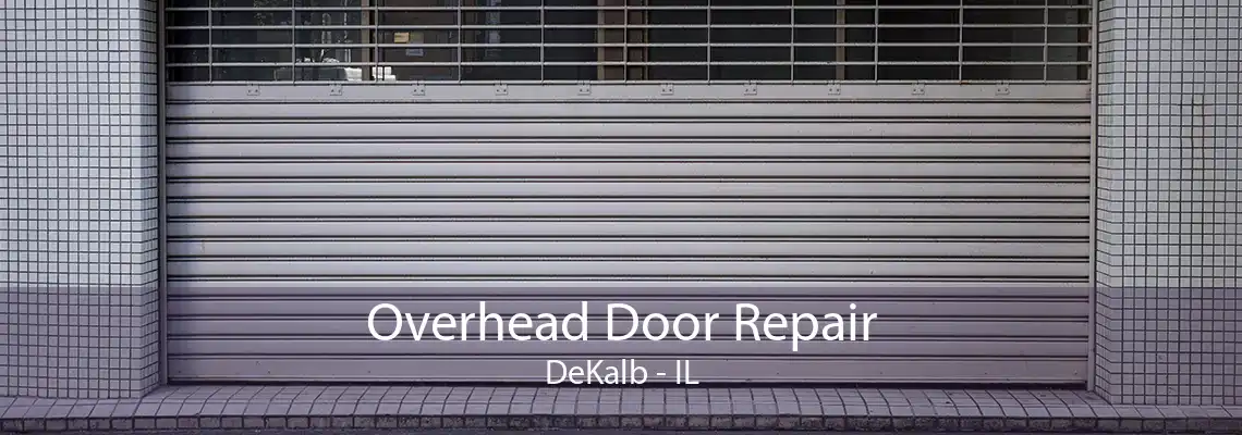 Overhead Door Repair DeKalb - IL