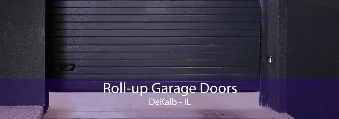 Roll-up Garage Doors DeKalb - IL