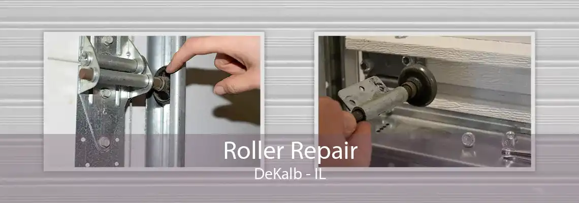 Roller Repair DeKalb - IL