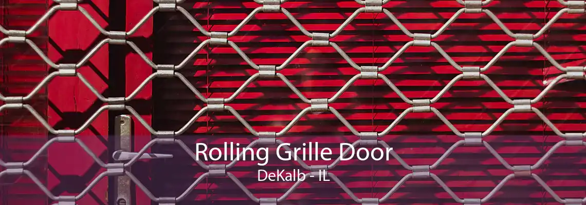 Rolling Grille Door DeKalb - IL