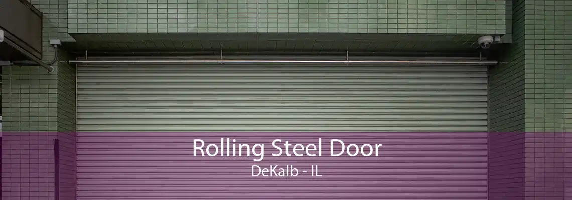 Rolling Steel Door DeKalb - IL