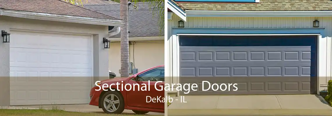 Sectional Garage Doors DeKalb - IL