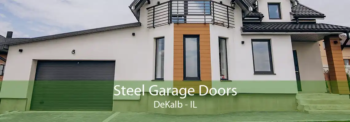 Steel Garage Doors DeKalb - IL